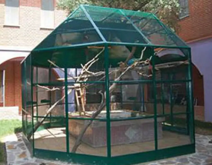 Special aviaries BRESCIA MODEL